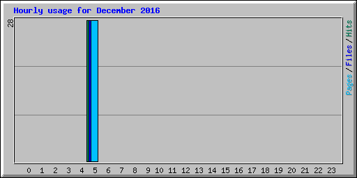 Hourly usage for December 2016