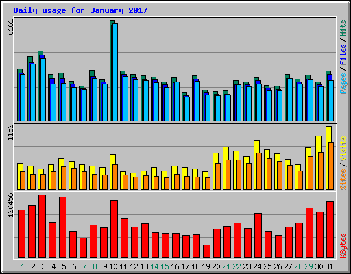 Daily usage for January 2017