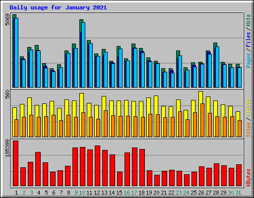 Daily usage for January 2021