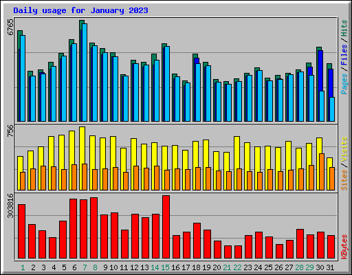 Daily usage for January 2023