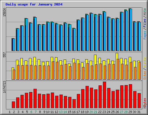 Daily usage for January 2024