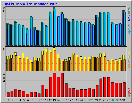 Daily usage for December 2024