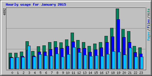 Hourly usage for January 2015