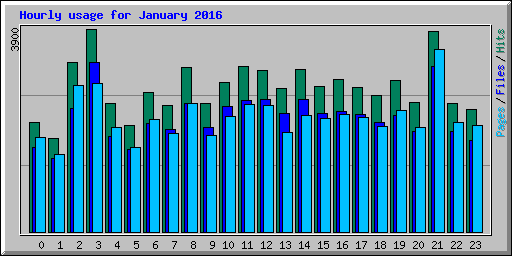 Hourly usage for January 2016