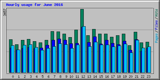 Hourly usage for June 2016