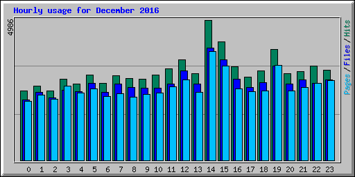 Hourly usage for December 2016