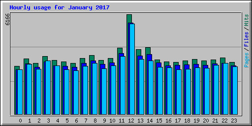 Hourly usage for January 2017