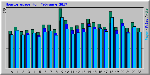 Hourly usage for February 2017