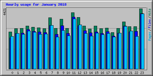 Hourly usage for January 2018