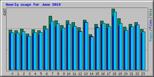 Hourly usage for June 2019