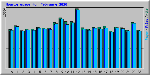 Hourly usage for February 2020