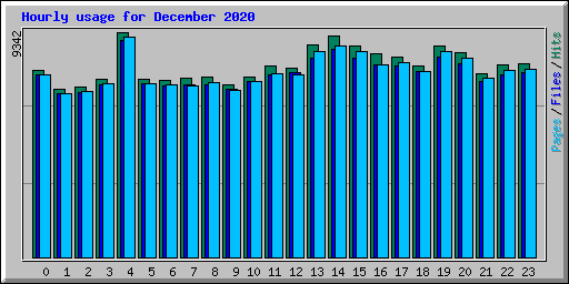 Hourly usage for December 2020