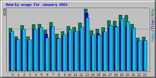 Hourly usage for January 2021