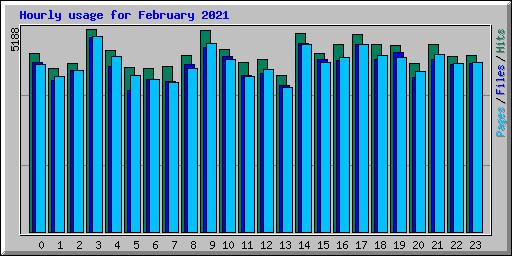 Hourly usage for February 2021