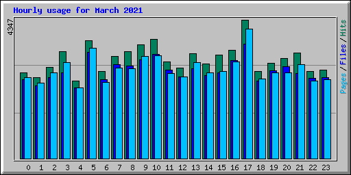 Hourly usage for March 2021