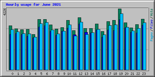 Hourly usage for June 2021