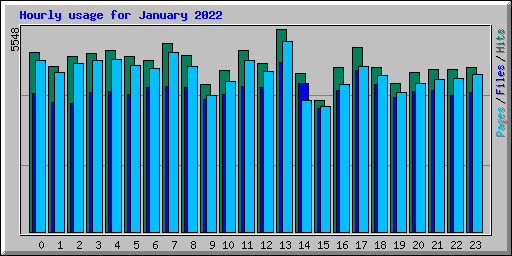 Hourly usage for January 2022