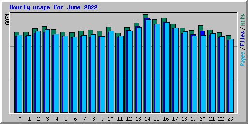 Hourly usage for June 2022