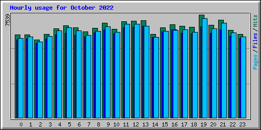 Hourly usage for October 2022