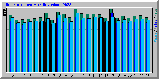 Hourly usage for November 2022