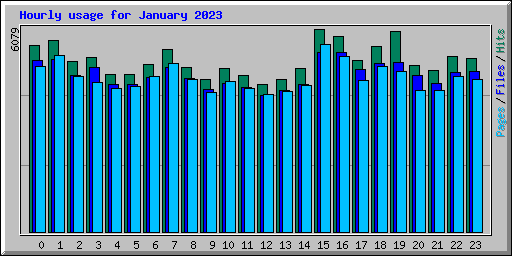 Hourly usage for January 2023