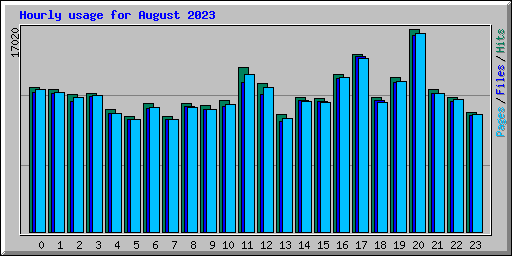 Hourly usage for August 2023