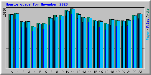 Hourly usage for November 2023