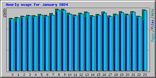 Hourly usage for January 2024