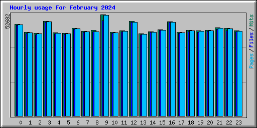 Hourly usage for February 2024