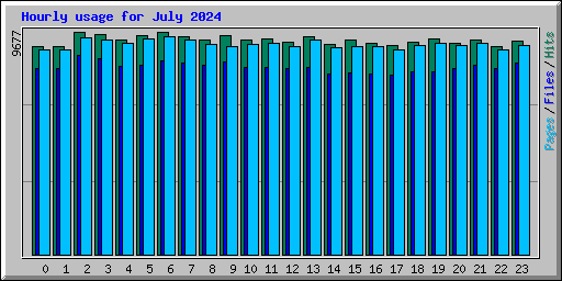 Hourly usage for July 2024