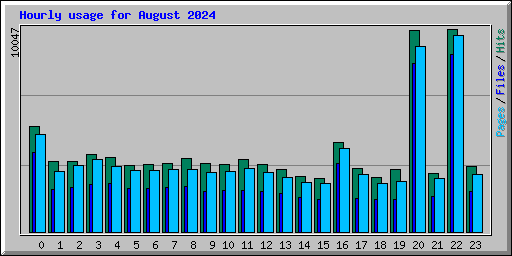 Hourly usage for August 2024