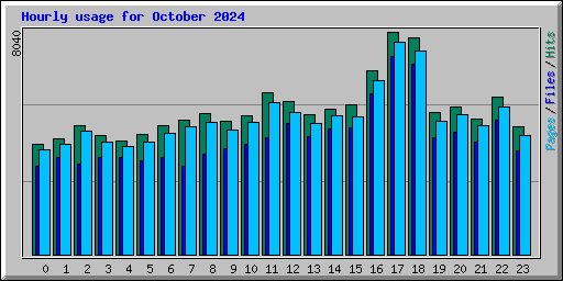 Hourly usage for October 2024