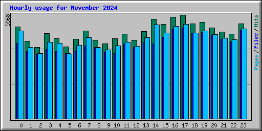 Hourly usage for November 2024