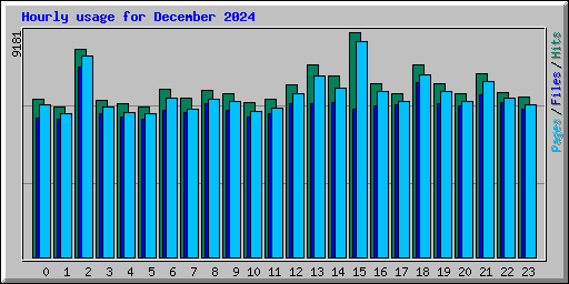 Hourly usage for December 2024