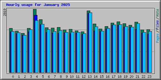 Hourly usage for January 2025