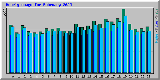 Hourly usage for February 2025