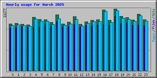 Hourly usage for March 2025